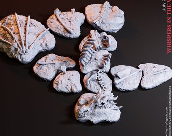 Drachenskelett (Scenery) • 28mm • Tabletop • Fantasy • D&D • Dungeons and Dragons • Pathfinder • DSA • Flesh of Gods