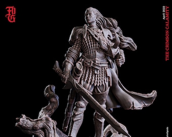 Nisara, Elfenritter (Hero) • 32mm • Tabletop • Fantasy • D&D • Dungeons and Dragons • Pathfinder • DSA • Flesh of Gods
