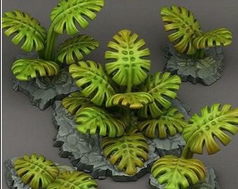 Grüne Monstera