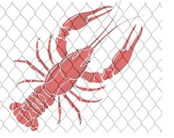 Crawfish SVG, Seafood SVG, Louisiana SVG, Crawfish Sticker, Louisiana, Cajun Food, Cajun Party, Cajun Party svg,bundle svg,crawfish life svg