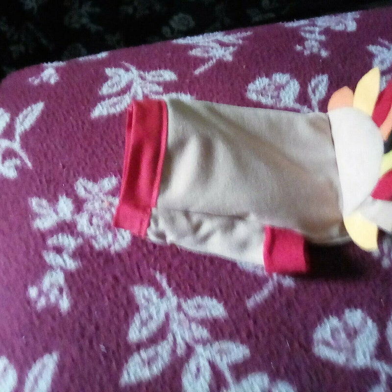 Pet Costume - Etsy