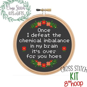 Once I Defeat The Chemical Imbalance In My Brain It's Over For You Hoes. Starter Cross Stitch Kit. Sarcastic Subversive Cross Stitch.Stitch