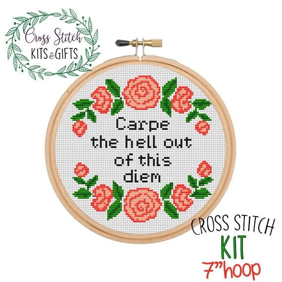 Subversive Cross Stitch Kit. Adult Starter Cross Stitch Kit for