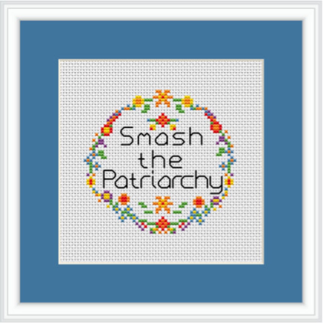 In This House We Fucking Swear. Adult Starter Cross Stitch Kit for