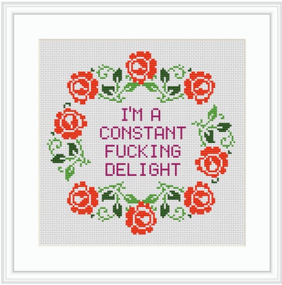 In This House We Fucking Swear. Adult Starter Cross Stitch Kit for