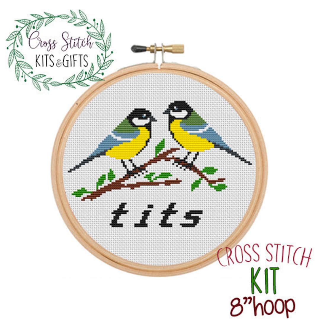 Cross Stitch for Beginners. How Am I Supposed to Live, Laugh, Love