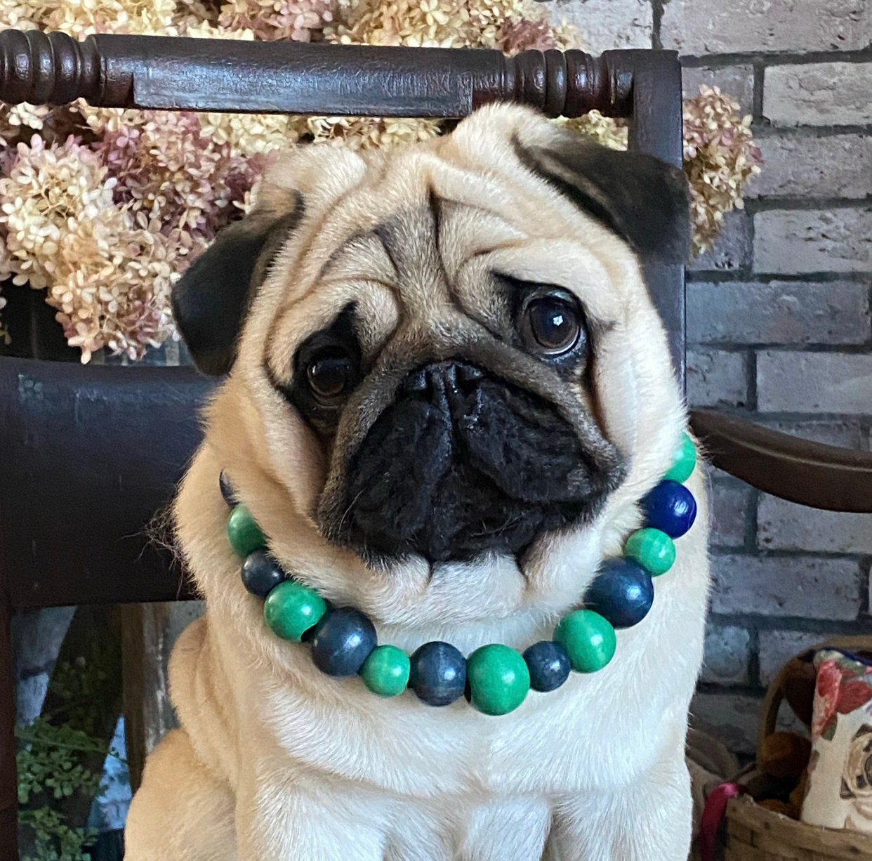 Pug dog store chain