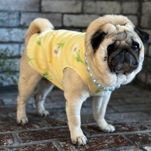 May include: A beige pug dog wearing a yellow fleece vest with a daisy pattern and a pearl necklace. The dog is standing on a brick surface, with a brick wall in the background.