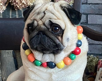 pug accessories