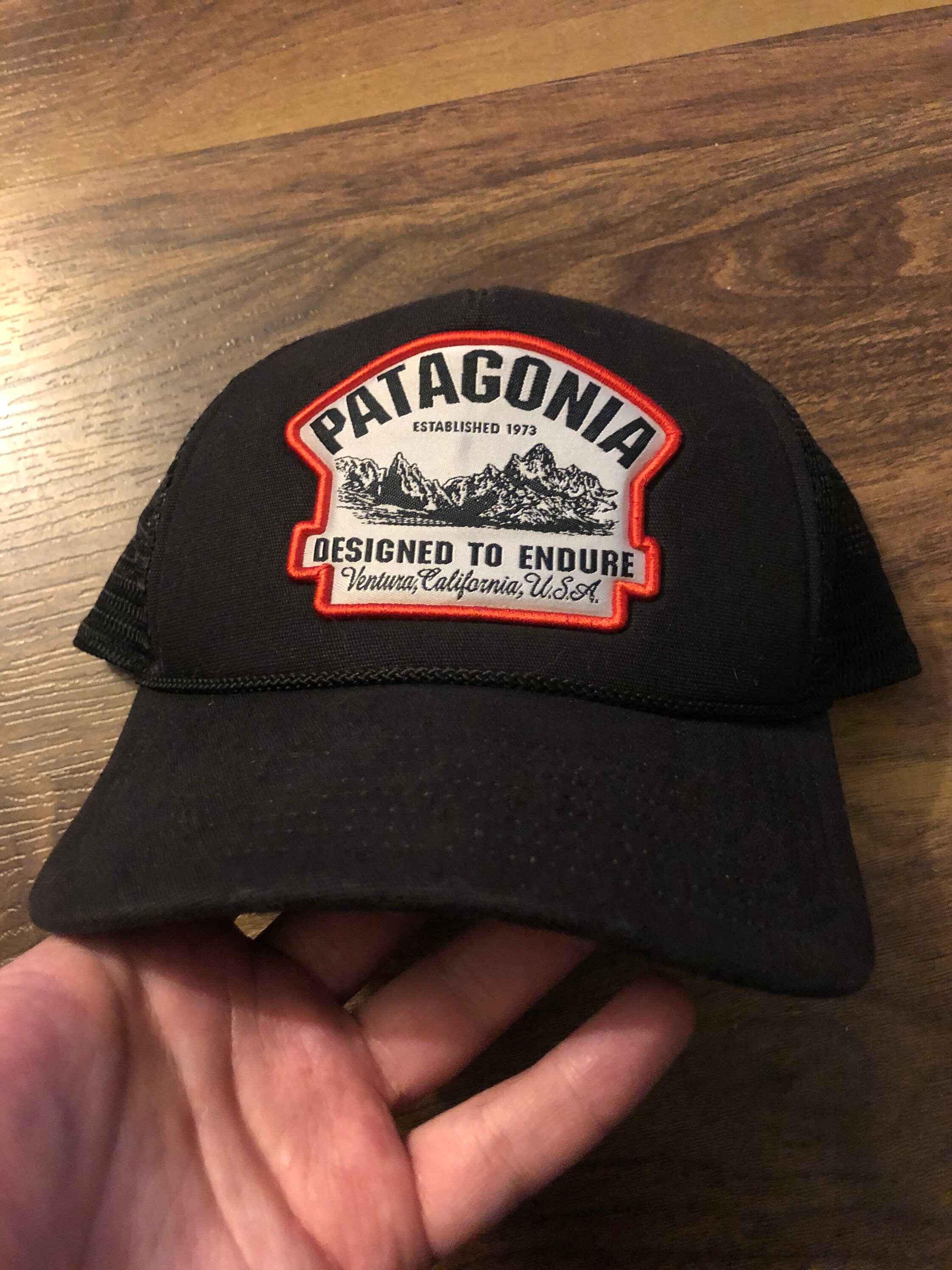 Patagonia Designed to Endure Trucker Hat Snapback Limited Release