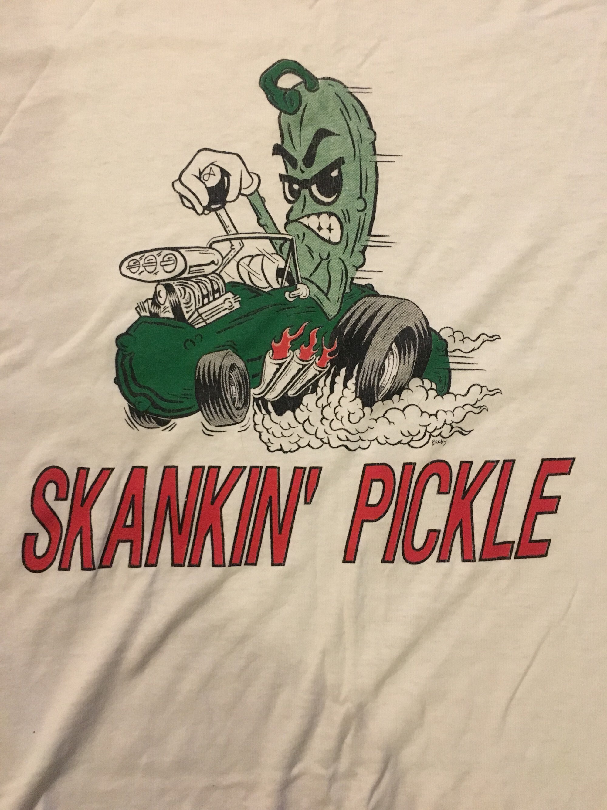 90s SKANKIN’PICKLE スカンキンピックル スカパンク USA製 SKANKIN PICKLE 