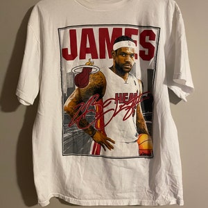 Nike Lebron James & Lion Graphic T-Shirt Men's Size L Large Dri-Fit Tee NBA  Red