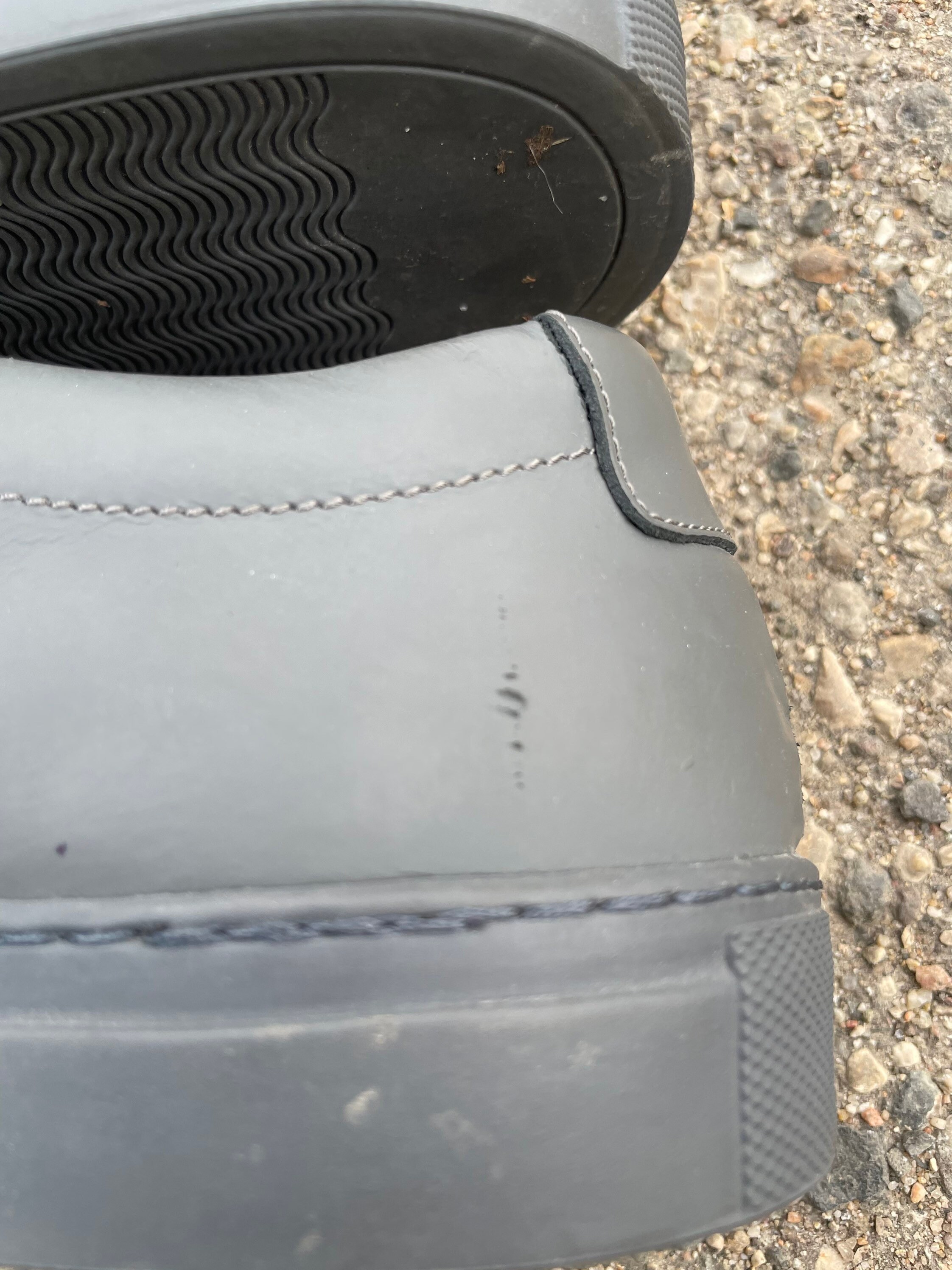 Common projects shop gummy