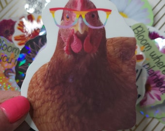 May include: A brown chicken wearing rainbow-colored glasses. The chicken is looking directly at the camera. The sticker is white with a rounded edge.