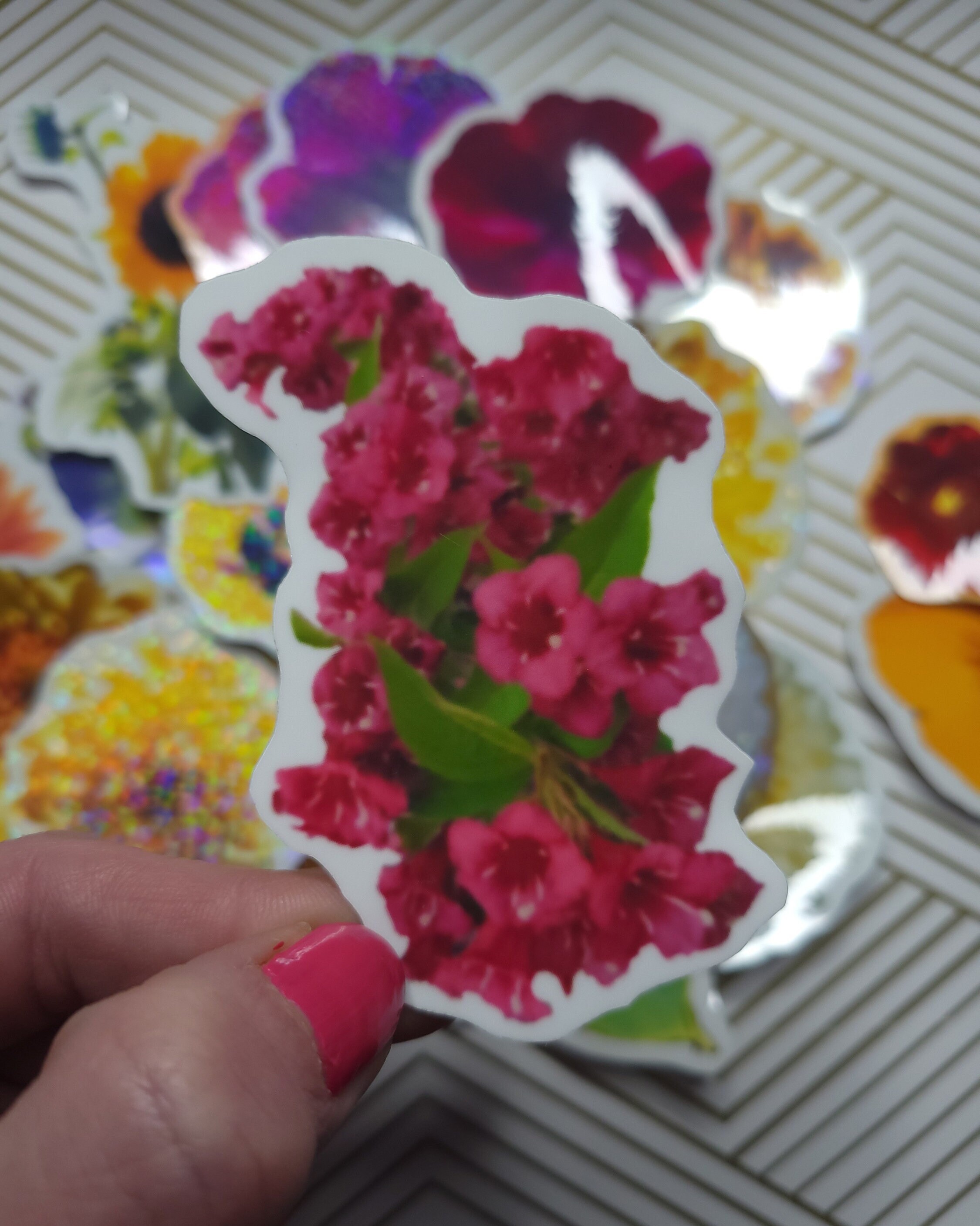 Azalea Sticker Backyard Blooms Sticker Series- Azalea Hand-cut Vinyl Stickers - Etsy