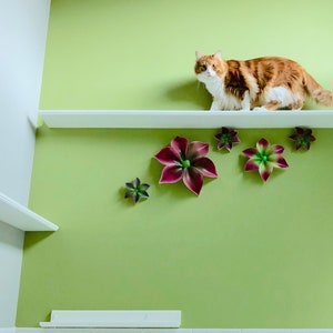 Cat Shelves Etsy Cat wall shelves are the latest trend in modern cat furniture. cat shelves etsy