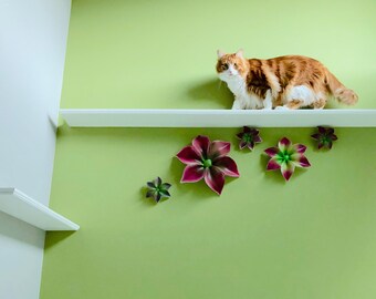 36" Cooper Catwalks are handmade cat shelves for cats to walk,climb,jump up to and perch, nap, or access higher areas
