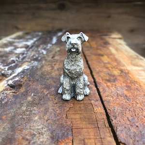 Wirehaired Fox Terrier