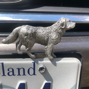 Nummerplaattopper Golden Retriever