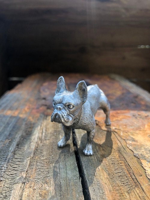 Silver grey french bulldog 2025