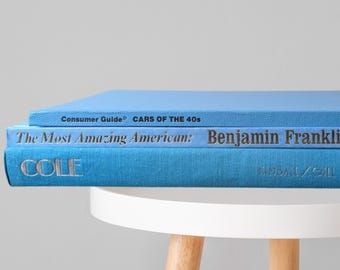 Blue Decorative Book Stack | Mixed Blue Coffee Table Books | Modern Coastal Decor | Large Book Stack
