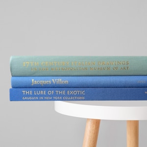 Shades of Blue Book Stack | Coffee Table Decor Set |  Large Book Stack | Decorative Books | Art Theme |