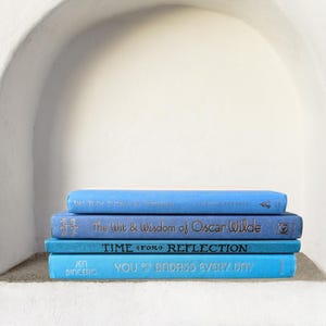 May include: A stack of four books in varying shades of blue, arranged on a shelf. The book titles include "The Wit & Wisdom of Oscar Wilde", "Time for Reflection", and "You Are a Badass Every Day". The books are displayed against a white backdrop.
