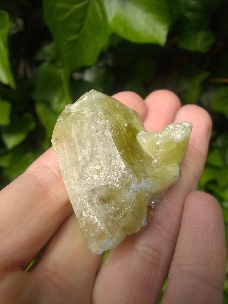Rare Raw Brazilianite Crystal from Minas Gerais Brazil High Collectors Quality Mineral Specimen Solar Plexus and Sacral Chakra Stone image 3
