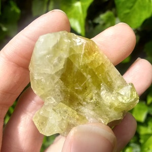 Rare Raw Brazilianite Crystal from Minas Gerais Brazil High Collectors Quality Mineral Specimen Solar Plexus and Sacral Chakra Stone image 8