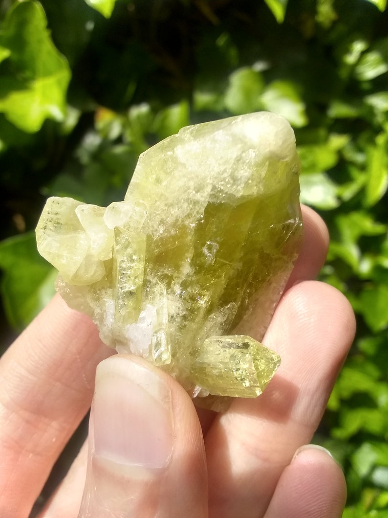 Rare Raw Brazilianite Crystal from Minas Gerais Brazil High Collectors Quality Mineral Specimen Solar Plexus and Sacral Chakra Stone image 9