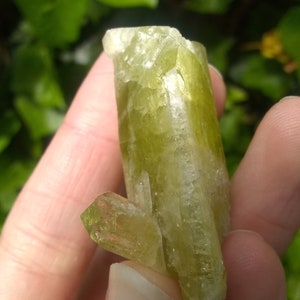 Rare Raw Brazilianite Crystal from Minas Gerais Brazil High Collectors Quality Mineral Specimen Solar Plexus and Sacral Chakra Stone image 6