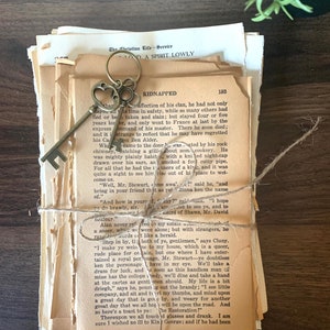 150 Vintage book pages  and illustrations mega bundle | vintage pages for scrapbooking ephemeral | free shipping