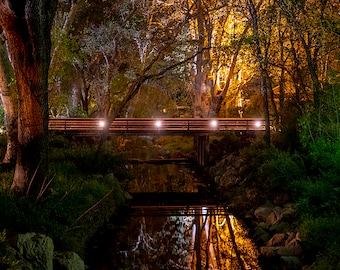 Night landscape photography Nature inspired wall art Enchanted Creek Metal Print Golden glow over creek picture Nature wall decor twilight