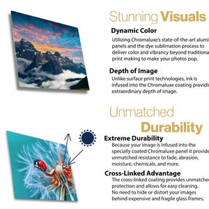 May include: Two images showcasing the features of Chromaluxe panels. One displays a mountain landscape with vibrant colors. The other shows a ladybug on a dandelion. Text highlights dynamic color and extreme durability.