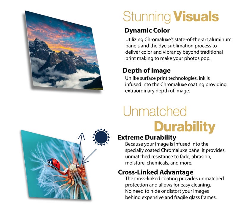 May include: Two images showcasing the features of Chromaluxe panels. One displays a mountain landscape with vibrant colors. The other shows a ladybug on a dandelion. Text highlights dynamic color and extreme durability.