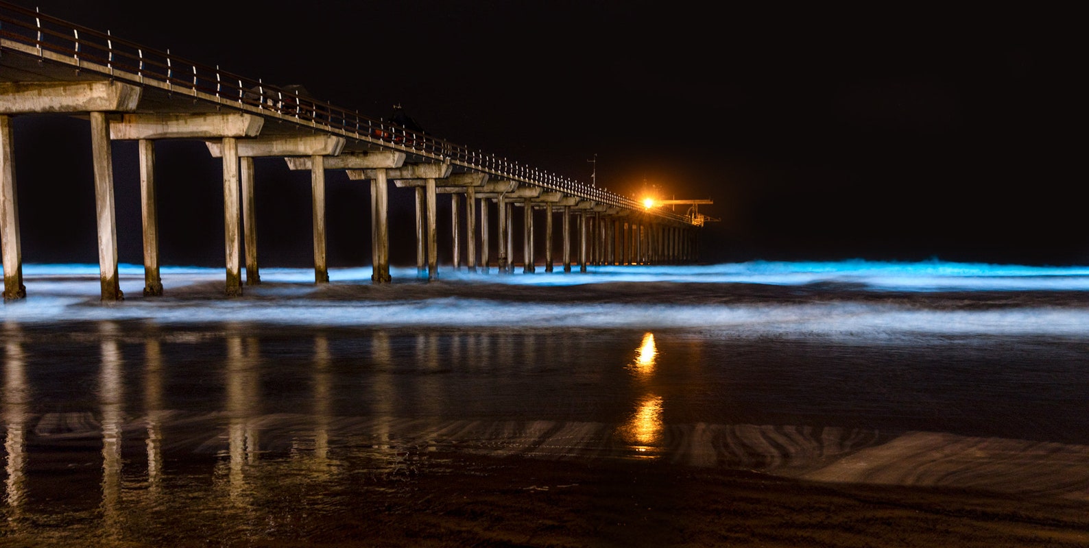 Bioluminescence Scripps Pier La Jolla California Metal Print | Etsy