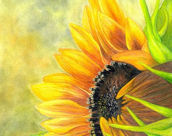 油絵 絵画 【sunflower】 油絵 絵画 【sunflower】 油絵 絵画 【sunflower】 Amazon.com