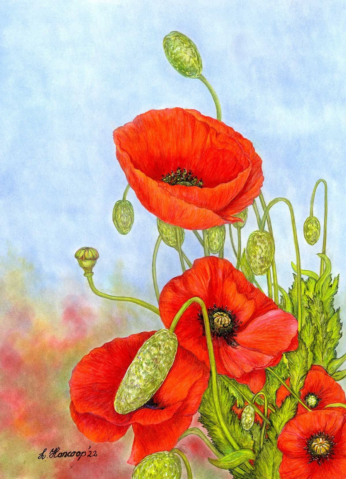 赤いポピーの花の色鉛筆画 - Etsy 日本