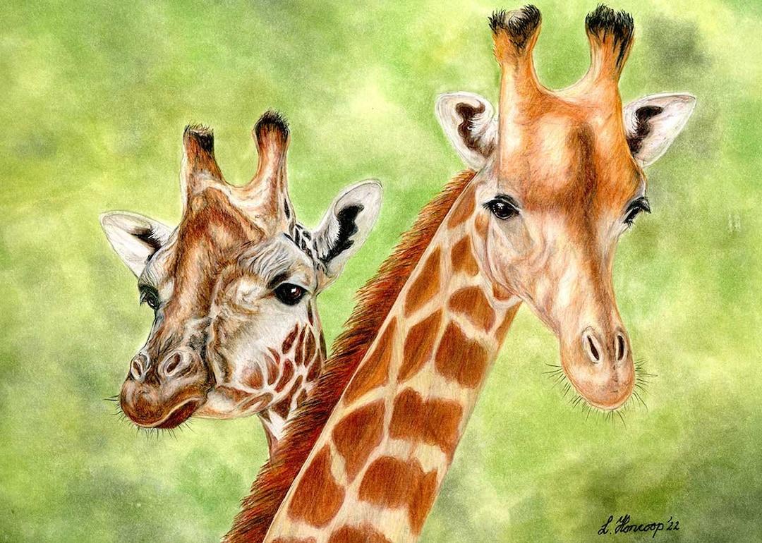 Giraffe Pair Color Pencil Drawing - Etsy