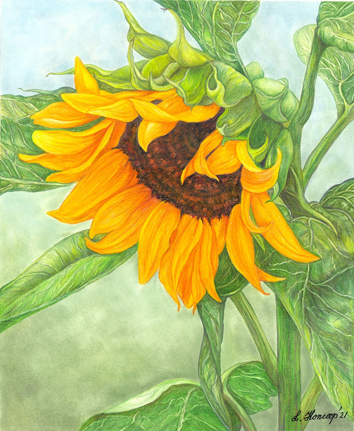 Colored drawings best sale