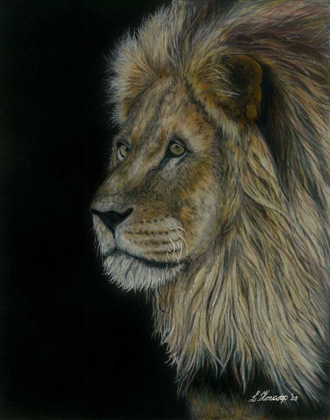 ライオンの色鉛筆画 - Etsy 日本