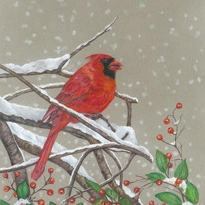 Winter Cardinal color pencil drawing