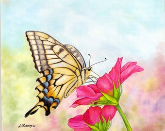 Butterfly on Rose Flowers color pencil art