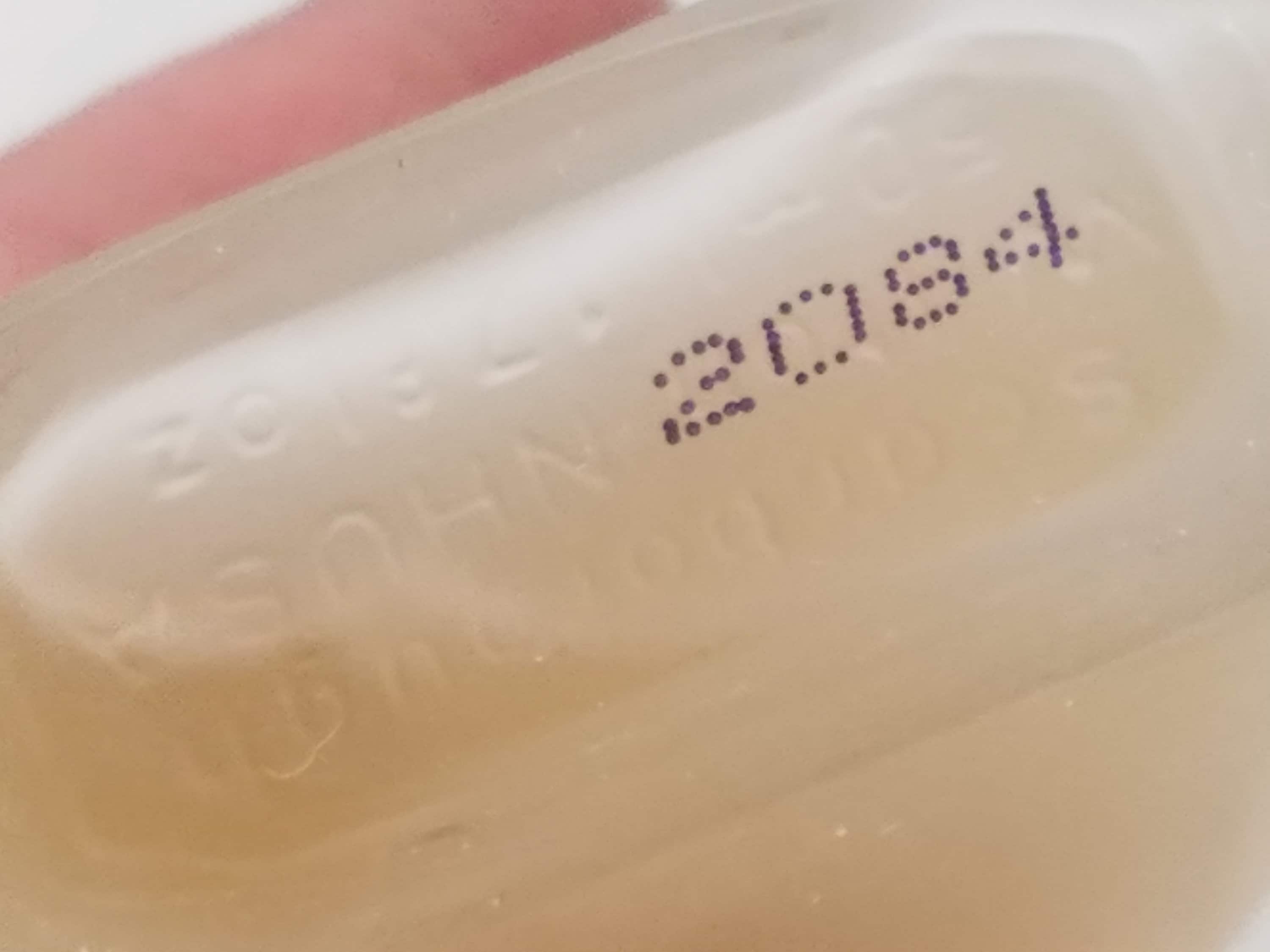 香水(ユニセックス) Scarborough & company southampton rose Scarborough & company southampton rose 香水(ユニセックス)