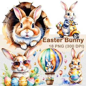 Easter Bunny, PNG Transparent, 300 DPI, Cute, Watercolor, Clipart - Etsy