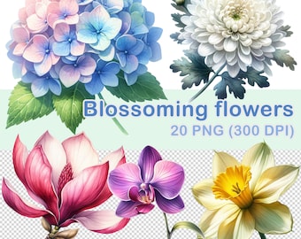 Clipart aquarel bloeiende bloemen: 20 png-afbeeldingen (digitale download)