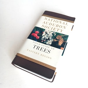 Könnte beinhalten: Ein Feldführer über Bäume der National Audubon Society. Das Buch hat einen weißen Einband mit dem Titel "Field Guide to Trees" und Bildern von Pflanzen. Der Buchrücken und die Ränder sind braun mit goldenen Akzenten. Das Buch ist für die Ostregion Nordamerikas.
