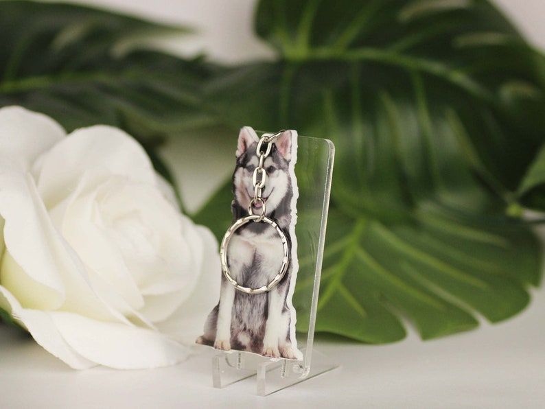 dog picture key ring cat keyring Personalized key chain cat lover gift Husky CUS-KC Customized pet Body Key chain