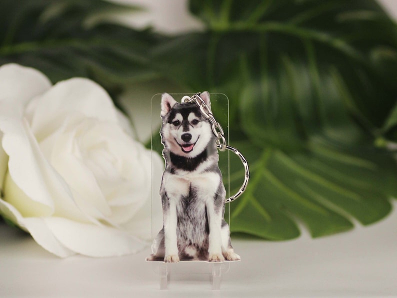 dog picture key ring cat keyring Personalized key chain cat lover gift Husky CUS-KC Customized pet Body Key chain