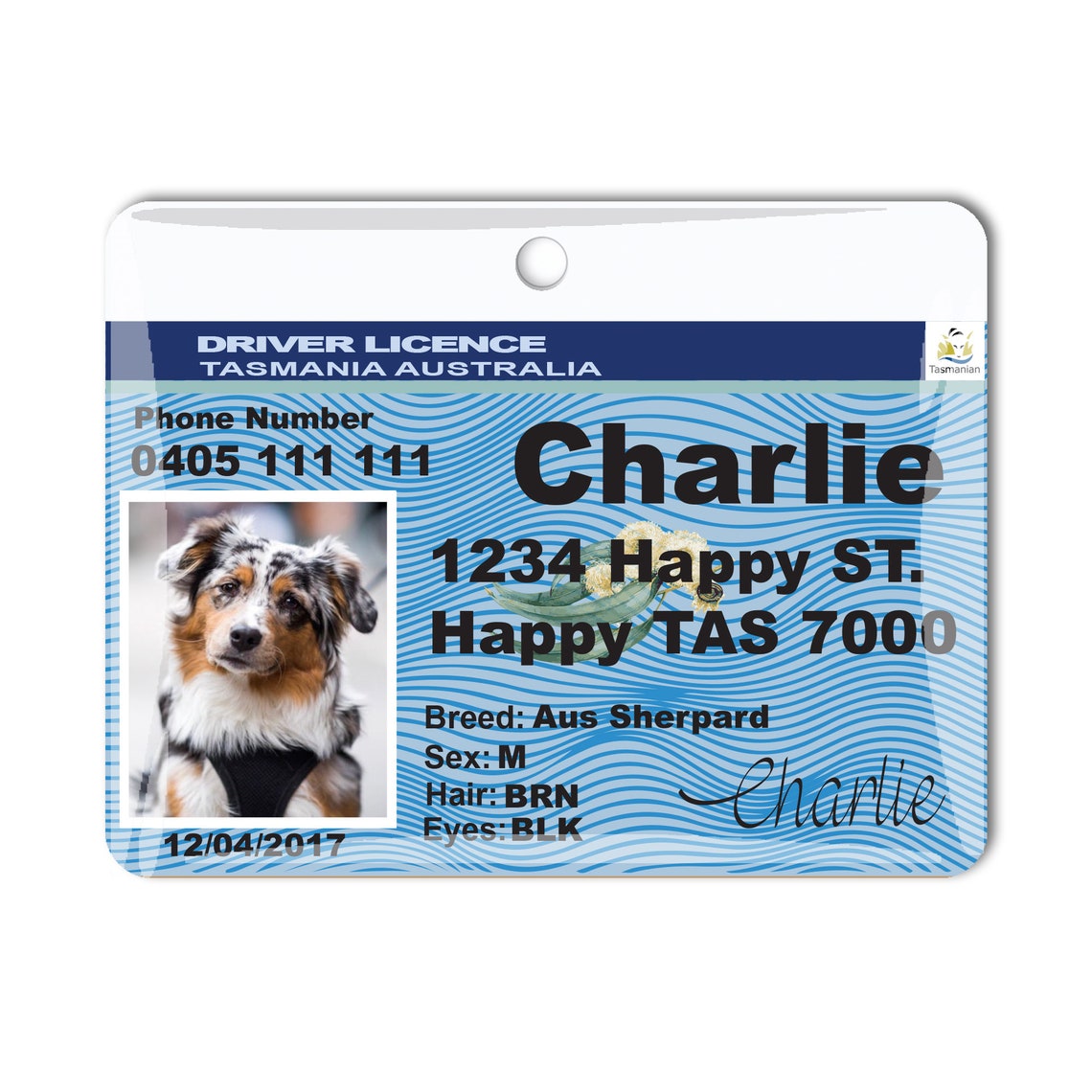 Tasmania driver license Resin Australia TAS driver license Etsy